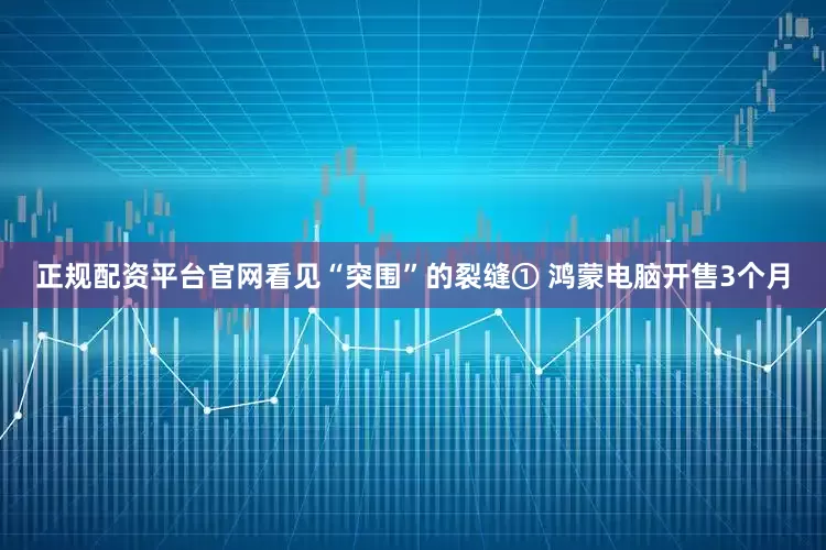 正规配资平台官网看见“突围”的裂缝① 鸿蒙电脑开售3个月